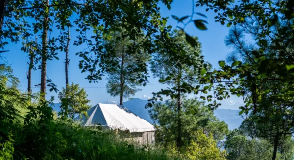 Reconnect with Yourself: Experience the Art of Doing Nothing at Ranikhet’s Luxury Retreat