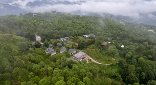 Nature’s Retreat: Queens Meadows – The Best Resort in Ranikhet to Relax and Rejuvenate