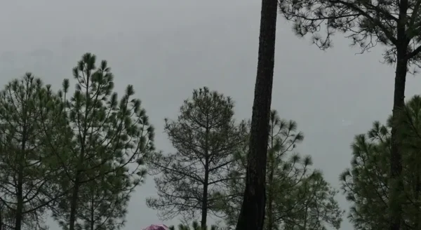 Masters of Relaxation: Discover the Art of Doing Nothing at Queens Meadows in Ranikhet