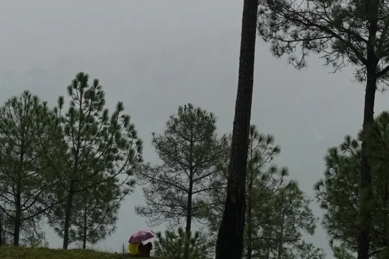 Read more about the article Masters of Relaxation: Discover the Art of Doing Nothing at Queens Meadows in Ranikhet