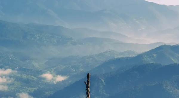 Finding Peace in the Himalayas: The Art of Doing Nothing at a Luxury Resort in Ranikhet