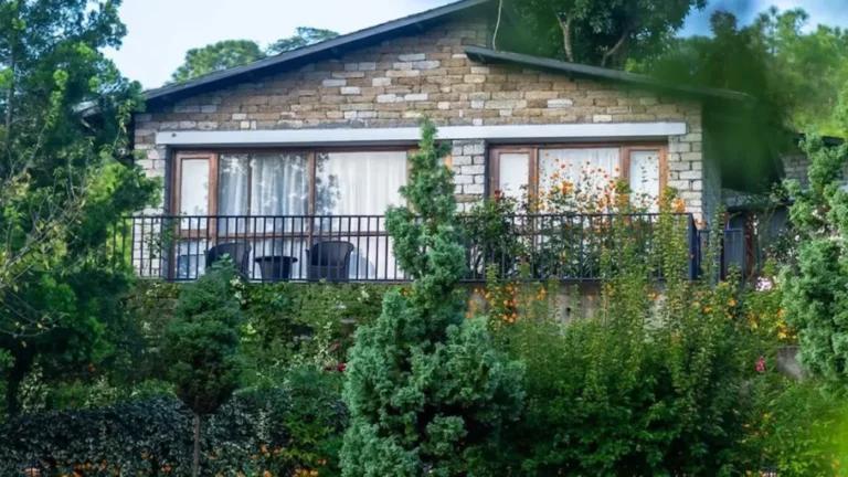 Read more about the article Trekking to Tranquility: Experience the Art of Doing Nothing at Queens Meadows, Ranikhet